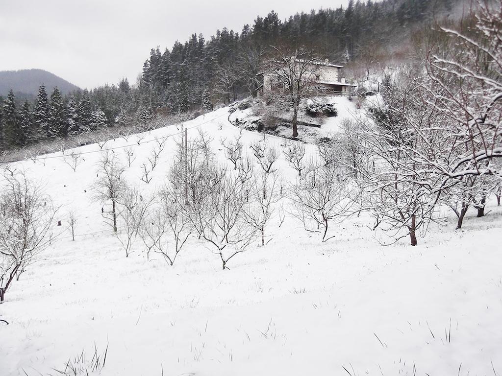 Casa Rural Madariaga Ξενοδοχείο Artea Εξωτερικό φωτογραφία